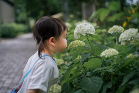 女孩名字