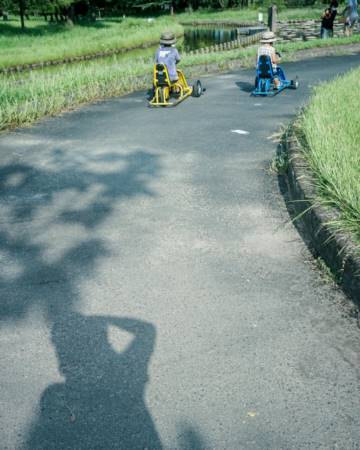 属龙取名