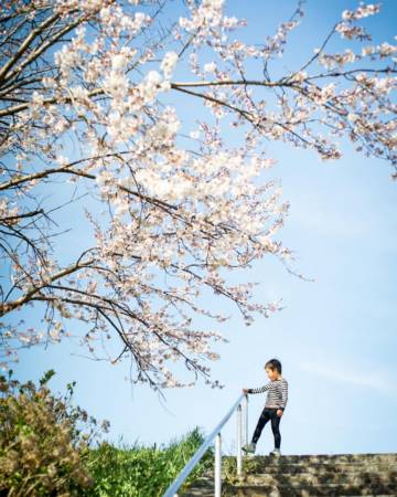 男孩取名