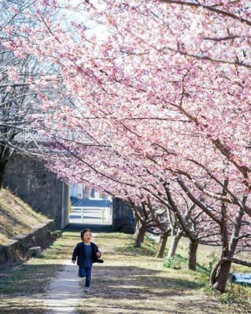 男孩取名