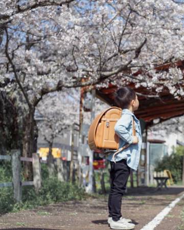 男孩取名