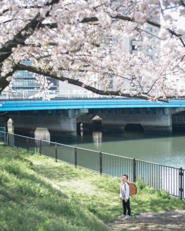 龙宝宝起名