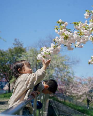 女孩名字