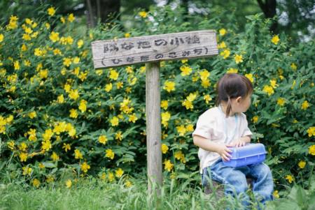 男孩名字