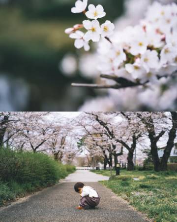 龙年宝宝取名