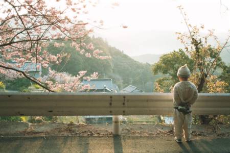 男孩起名