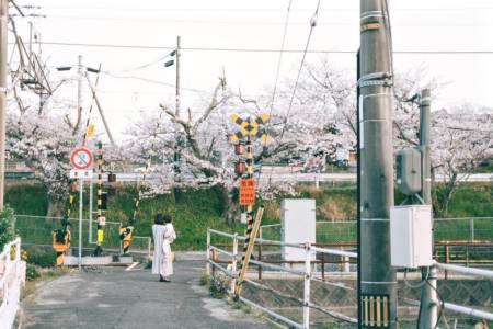 男孩起名