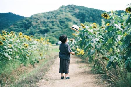 男宝宝取名