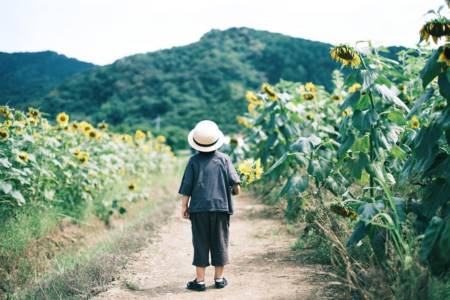 男孩取名