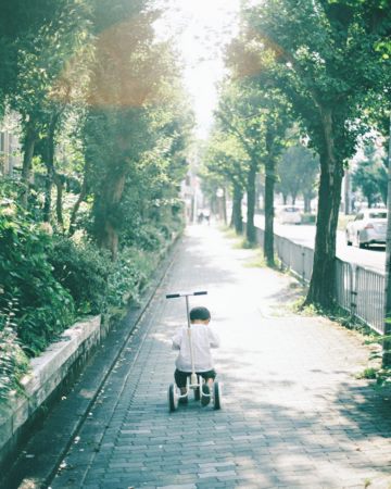 龙年宝宝起名