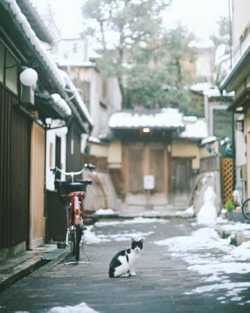 龙年宝宝起名