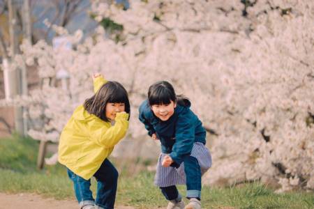 女孩起名